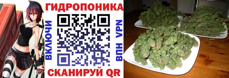 Что такое Волхов АМФ  Мефедрон  КОКАИН  кракен ONION  Марихуана  А ПВП  ГАШИШ 