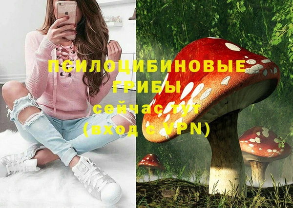 прущие грибы Алзамай