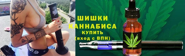 прущие грибы Алзамай