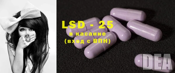 прущие грибы Алзамай