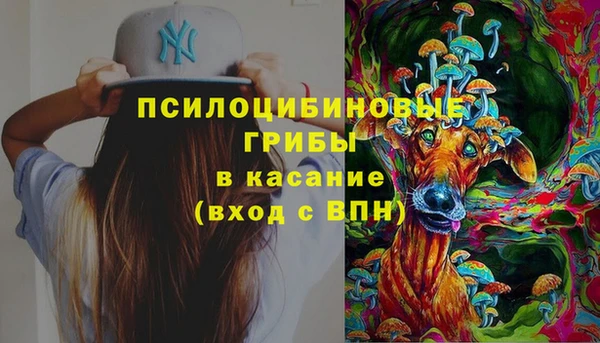 твердый Алексин