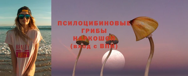 твердый Алексин
