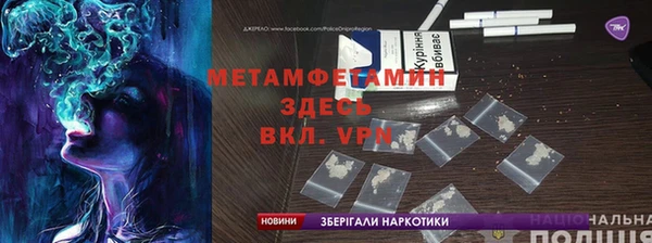 прущие грибы Алзамай